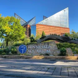 Tennessee Aquarium - Chattanooga