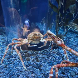 Tennessee Aquarium - Chattanooga