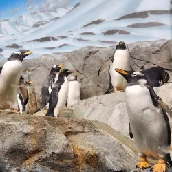 Tennessee Aquarium - Chattanooga