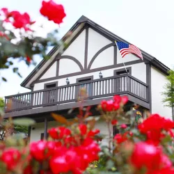 Beachaven Vineyards & Winery - Clarksville