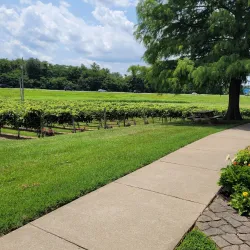 Beachaven Vineyards & Winery - Clarksville