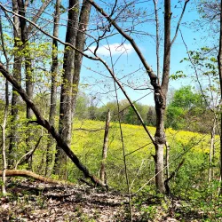 Clarksville Greenway - Clarksville