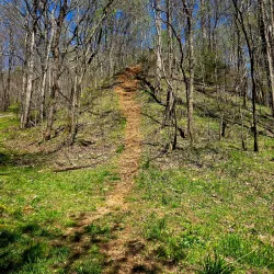 Clarksville Greenway - Clarksville