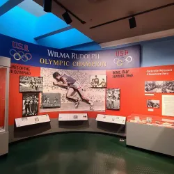 Customs House Museum and Cultural Center - Clarksville