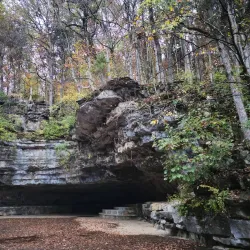 Dunbar Cave State Park - Clarksville