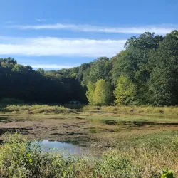 Dunbar Cave State Park - Clarksville