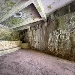 Dunbar Cave State Park - Clarksville