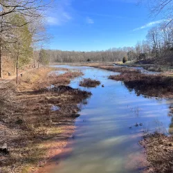 Dunbar Cave State Park - Clarksville