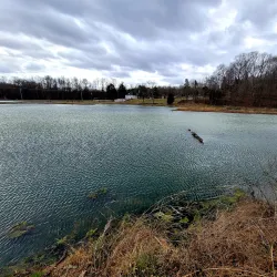 Dunbar Cave State Park - Clarksville