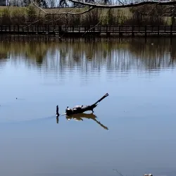 Liberty Park - Clarksville