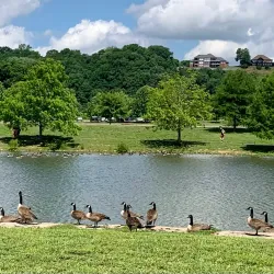 Liberty Park - Clarksville