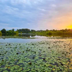 Liberty Park - Clarksville