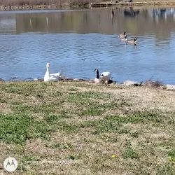 Liberty Park - Clarksville