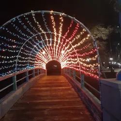 McGregor Park - Clarksville