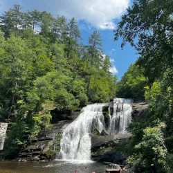 Cherokee National Forest - Cleveland