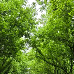 Cleveland Greenway - Cleveland