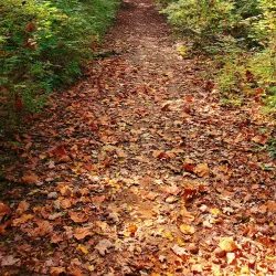 Cleveland Greenway - Cleveland