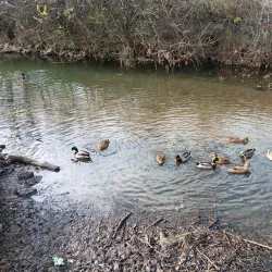 Cleveland Greenway - Cleveland