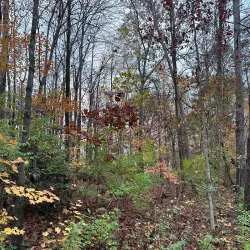 Cleveland Greenway - Cleveland