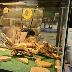 Cleveland Public Library - Cleveland