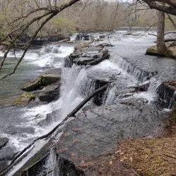 Duck River - Columbia