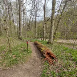 Duck River - Columbia