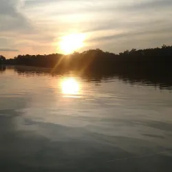 Duck River - Columbia