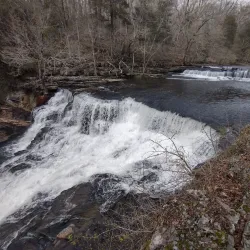 Duck River - Columbia