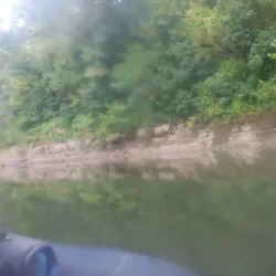 Duck River - Columbia