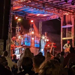 Mule Day Festival - Columbia