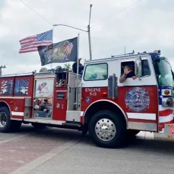 Mule Day Festival - Columbia