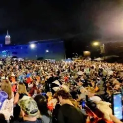 Mule Day Festival - Columbia