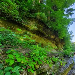Cummins Falls State Park - Cookeville