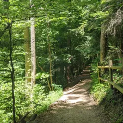 Cummins Falls State Park - Cookeville