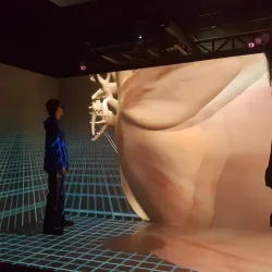 Tennessee Technological University - Cookeville