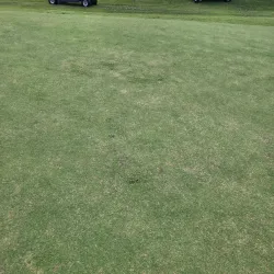 Dyersburg Golf and Country Club - Dyersburg