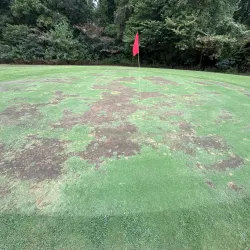 Dyersburg Golf and Country Club - Dyersburg