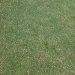 Dyersburg Golf and Country Club - Dyersburg