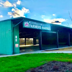 Historic Downtown Dyersburg - Dyersburg