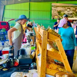 Historic Downtown Dyersburg - Dyersburg