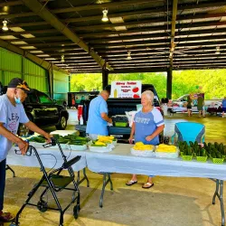 Historic Downtown Dyersburg - Dyersburg