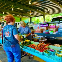 Historic Downtown Dyersburg - Dyersburg