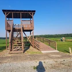 Lake Isom National Wildlife Refuge - Dyersburg