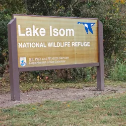 Lake Isom National Wildlife Refuge - Dyersburg