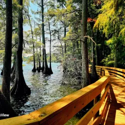 Reelfoot Lake State Park - Dyersburg