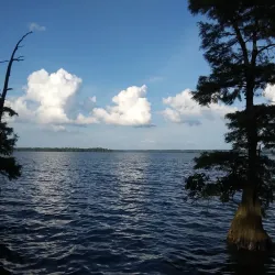 Reelfoot Lake State Park - Dyersburg