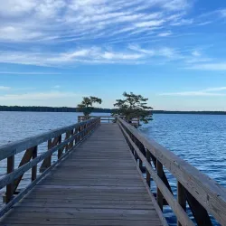 Reelfoot Lake State Park - Dyersburg