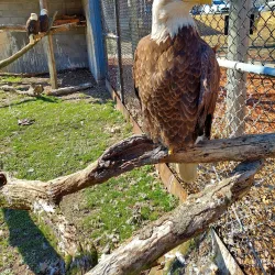 Reelfoot Lake State Park - Dyersburg