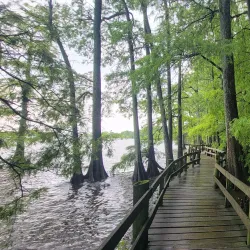 Reelfoot Lake State Park - Dyersburg