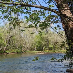 Carter County Museum - Elizabethton